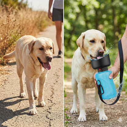 Botella de Agua Plegable para Perros y Gatos – Bebedero Portátil Antigoteo