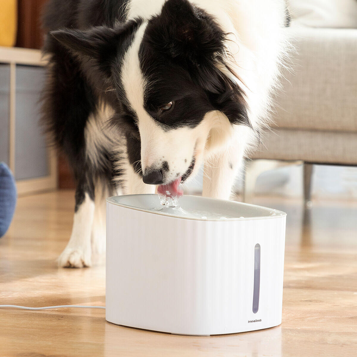 Fuente Automática PETZU DrinkFlow™ – Hidratación Inteligente para Perros y Gatos